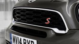 Mini Paceman 2015 - grill