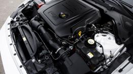 Jaguar XE 2.0d R-Sport Polaris White (2015) - maska otwarta