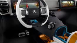 Citroen Aircross Concept (2015) - pełny panel przedni