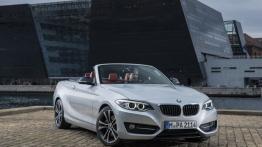 BMW serii 2 Cabrio (2015) - widok z przodu