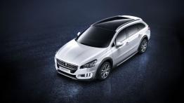 Peugeot 508 RXH Facelifting (2015) - widok z góry