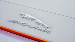 Jaguar F-Type AWD R Roadster Glacier White (2015) - emblemat