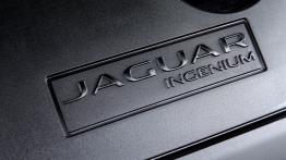 Jaguar XE 2.0d R-Sport Polaris White (2015) - silnik