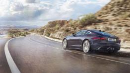 Jaguar F-Type AWD S Coupe Blackberry (2015) - widok z tyłu