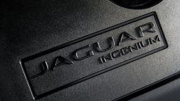 Jaguar XE 2.0d R-Sport Polaris White (2015) - silnik