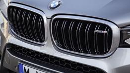 BMW X5 III M (2015) - grill