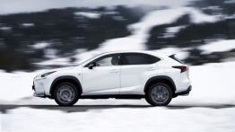Lexus NX 200t F-Sport (2015) - lewy bok
