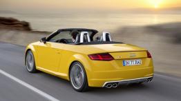Audi TTS III Roadster (2015) - widok z tyłu