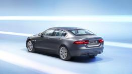 Jaguar XE 2.5T Portfolio (2015) - tył - reflektory włączone