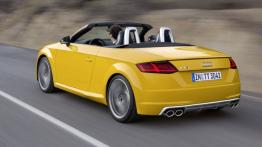 Audi TTS III Roadster (2015) - widok z tyłu