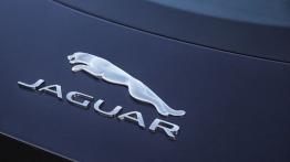Jaguar F-Type AWD S Coupe Blackberry (2015) - emblemat