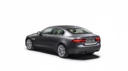 Jaguar XE 2.5T Portfolio (2015) - tył - reflektory włączone