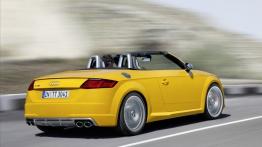 Audi TTS III Roadster (2015) - widok z tyłu