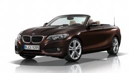 BMW serii 2 Cabrio (2015) - przód - reflektory wyłączone