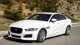 Jaguar XE 2.0d R-Sport Polaris White (2015) - lewy bok