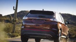 Ford Edge II (2015) - widok z tyłu