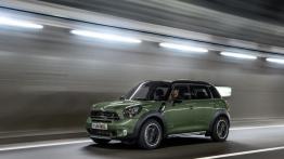 Mini Countryman Facelifting (2015) - lewy bok