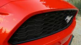 Ford Mustang VI Coupe EcoBoost (2015) - grill