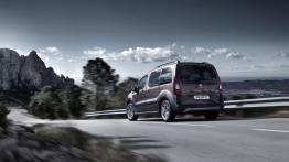 Peugeot Partner II Tepee Facelifting (2015) - widok z tyłu