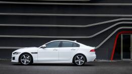 Jaguar XE 2.0d R-Sport Polaris White (2015) - lewy bok