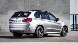 BMW X5 III M (2015) - widok z tyłu