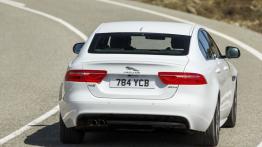 Jaguar XE 2.0d R-Sport Polaris White (2015) - widok z tyłu