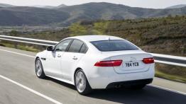 Jaguar XE 2.0d R-Sport Polaris White (2015) - widok z tyłu