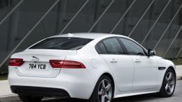Jaguar XE 2.0d R-Sport Polaris White (2015) - widok z tyłu