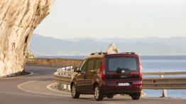 Fiat Doblo III Van Facelifting (2015) - widok z tyłu
