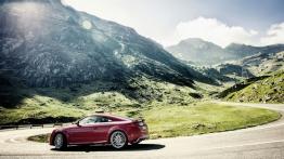Audi TTS III Coupe (2015) - lewy bok