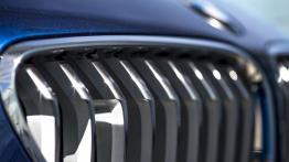 BMW 650i Coupe F13 Facelifting (2015) - grill