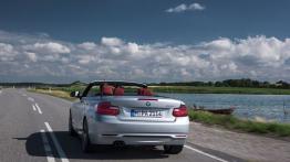 BMW serii 2 Cabrio (2015) - widok z tyłu