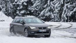 Seat Leon III X-Perience (2015) - widok z przodu