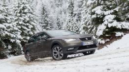 Seat Leon III X-Perience (2015) - widok z przodu