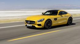 Mercedes AMG GT (2015) - lewy bok
