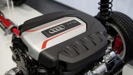 Audi TTS III Coupe (2015) - przekrój konstrukcyjny auta