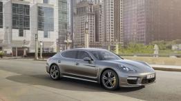 Porsche Panamera I Limuzyna Facelifting 3.6 310KM 228kW 2013-2016