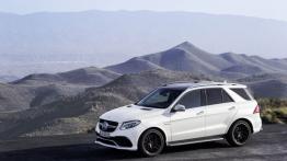 Mercedes-AMG GLE 63 S (W 166) 2016 - lewy bok
