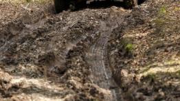 Land Rover Range Rover Sport II SVR Santorini Black (2016) - widok z tyłu