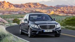 Mercedes Klasa S W222 Limuzyna 500 456KM 335kW 2013-2017