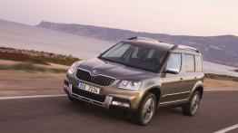 Skoda Yeti Outdoor 1.4 TSI 125KM 92kW 2015-2017
