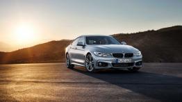 BMW Seria 4 F32-33-36 Gran Coupe 435d 313KM 230kW 2013-2017