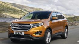 Wyprzedaż rocznika 2017