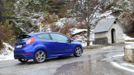 Ford Fiesta VII Hatchback 3d Facelifting 1.0 EcoBoost 100KM 74kW 2012-2017