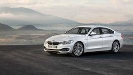 BMW Seria 4 F32-33-36 Gran Coupe 435d 313KM 230kW 2013-2017