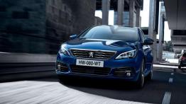 Wyprzedaż rocznika 2017