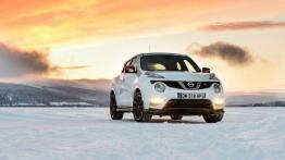 Nissan Juke I SUV Facelifting 1.6 DIG-T (Euro 6) 200KM 147kW 2015-2018