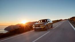 BMW X2 xDrive 20d M Sport X (2018) - inne zdjęcie
