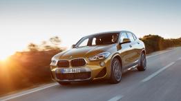 BMW X2 xDrive 20d M Sport X (2018) - inne zdjęcie
