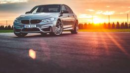 BMW Seria 3 F30-F31-F34 M3 Limousine Facelifting 3.0 M3 431KM 317kW 2015-2018
